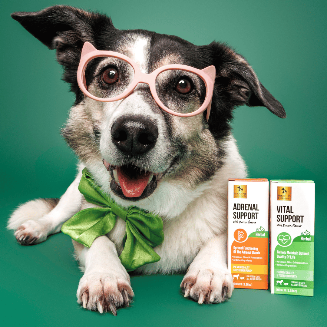 Cushings Kit Herbal For Dogs and Cats Natural Pet Supplements Natural Pet Supplements Australia